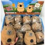 Zabawka Squeeze Toys Kapibara Gniotek Antystresowy 12 szt.