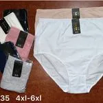Majtki damskie 4XL-6XL #1035, 6 kolorów