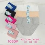 Majtki damskie bawełniane XXXL 1050# 32 34 36