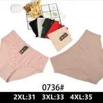 Majtki damskie 0736# 2XL-31 3XL-33 4XL-35