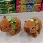 Maskotki Kapibara na Baterie Pinga Family