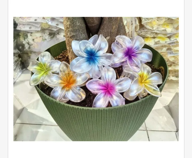 Klamry do Włosów Kwiaty Frangipani Wielobarwne 12 szt