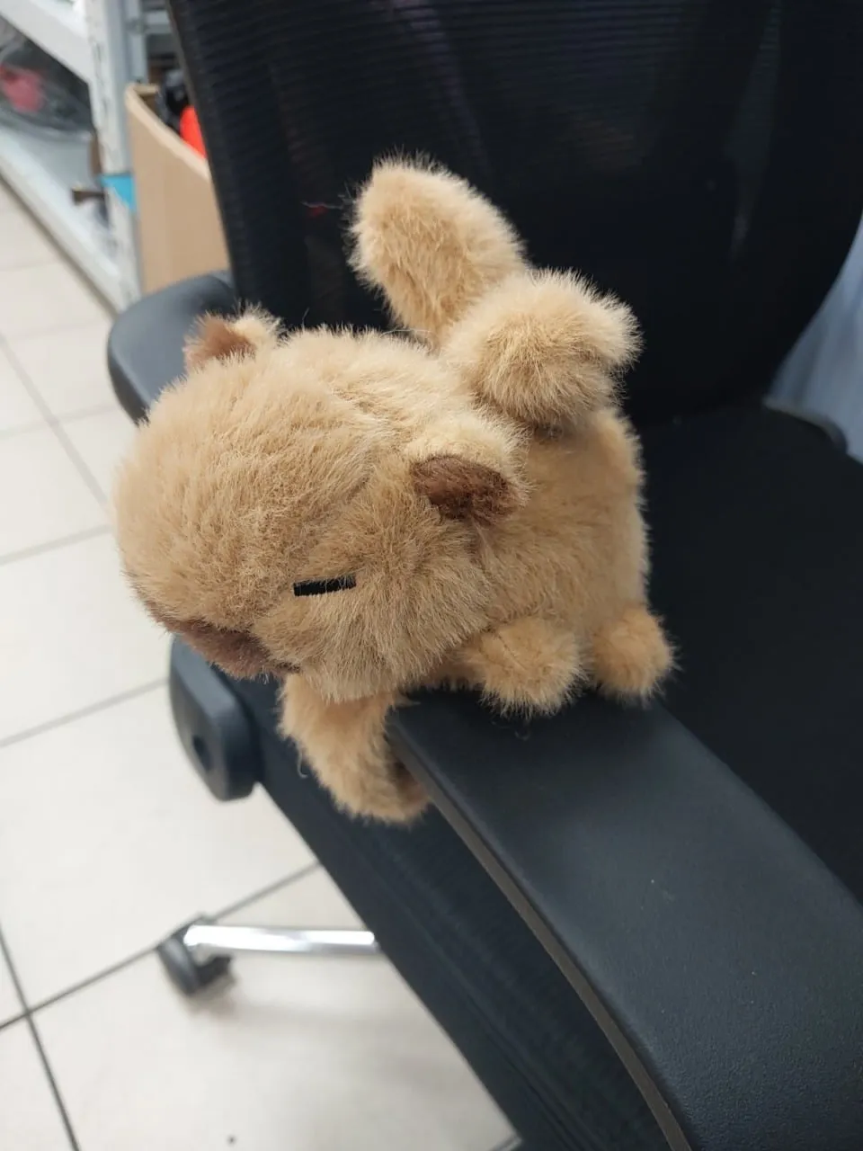 Maskotka pluszowa na rękę - brązowy miś, puszysta pacynka