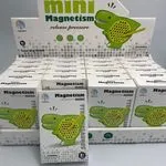Zabawka Mini Magnetism Tyrannosaurus Rex - Magnetyczna Tablica 3+