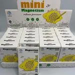 Mini Magnetism Stegozaur z rysikiem magnetycznym