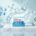 Kormesic HA & Collagen Deep Hydration Capsule Cream 75g