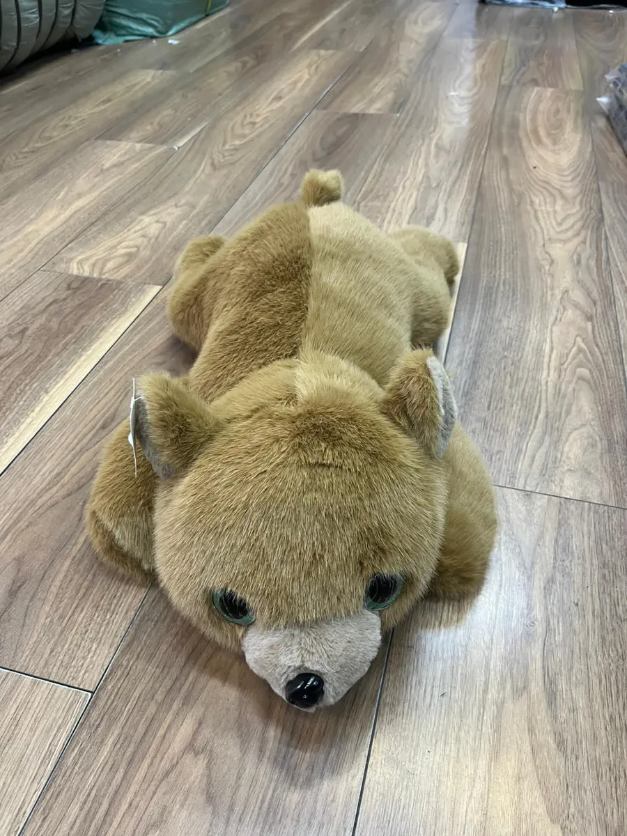 Pluszak Miś Brązowy 60cm z Zielonymi Oczami