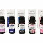 Olejki zapachowe Miss Coco, G'bleu, Hilton 10ml 5 wariantów
