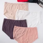 Finella Majtki Bielizna Damska XL-XXXL Mesh Kolory