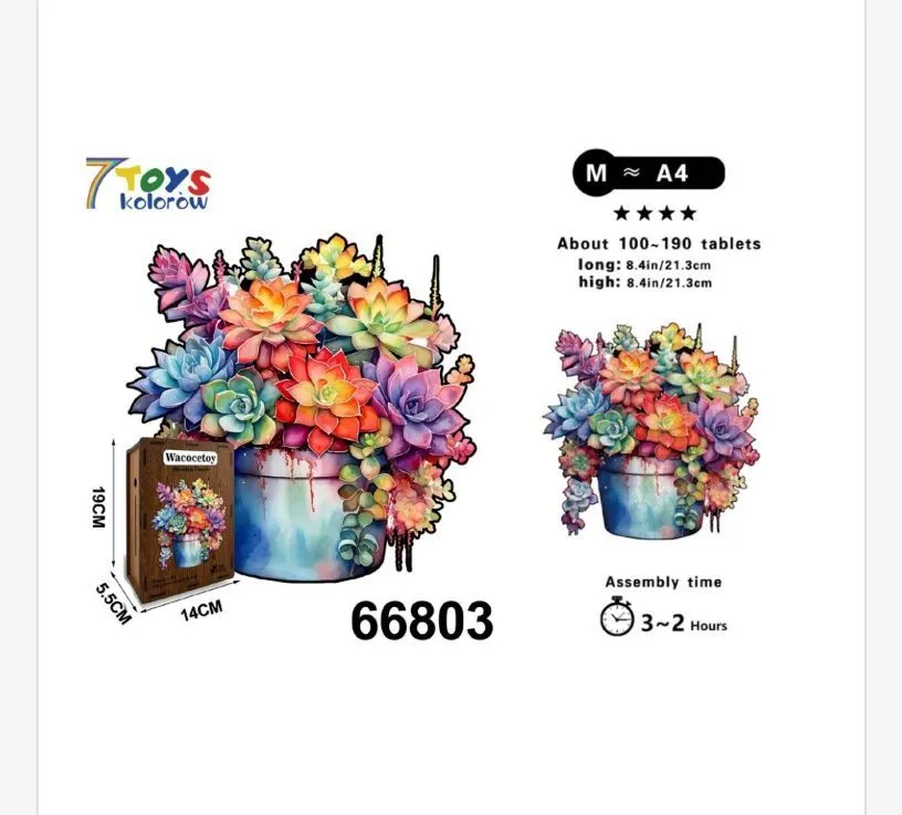 Zestaw 7Toys kolorowe sukulenty 3D puzzle M=A4
