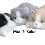 Maskotki kotki pluszowe mix 4 kolory 50cm