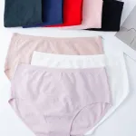 Finella damskie majtki XL-XXXL wzór kratka