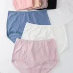 Finella damskie majtki bawełniane L XL XXL
