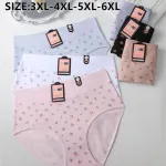 Hana Majtkowe Figi Kwiatowe 3XL-6XL Mix Kolorów Duże Rozmiary