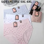 Hana Majtki Damskie Plus Size 3XL-6XL Kwiatowe