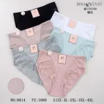 Majtki Damskie Rosa Junio Bawełniane Prążkowane z Koronką XL-4XL