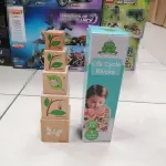 Drewniane klocki edukacyjne Life Cycle Blocks z motywem żaby