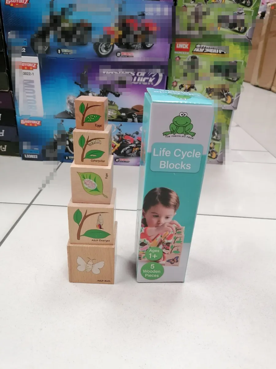 Drewniane klocki edukacyjne Life Cycle Blocks z motywem żaby