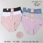Majtki damskie bawełniane Rosa Junio pastelowe kolory XL-4XL
