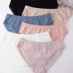 Majtki damskie Finella koronkowe w pastelowych kolorach S-XL