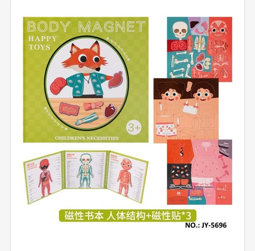 Body Magnet edukacyjna zabawka magnetyczna dla dzieci 3+
