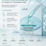 Anua Intensywne Nawilżenie Maska w Płachcie z Serum 23 ml x10