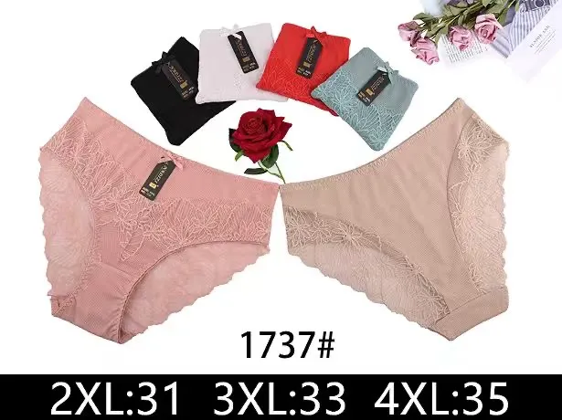 Majtki damskie koronkowe 2XL-4XL pastelowe kolory