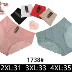 Majtki damskie koronkowe 2XL-4XL mix kolorów