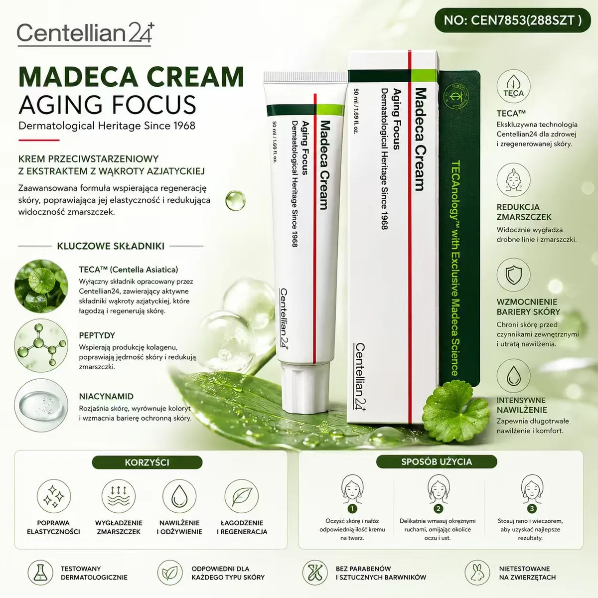 Madeca Cream Aging Focus krem przeciwstarzeniowy 50 ml z ekstraktem z wąkroty azjatyckiej