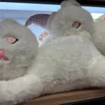 Pluszowy biały kot z fioletową czapką 40cm leżący