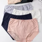 Majtki damskie Finella z koronką 2XL-4XL mix kolorów