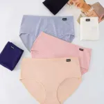 Majtki damskie bawełniane Victoria mix kolorów XL-3XL