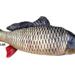 Poduszka dekoracyjna Ryba Karp 80cm realistyczna