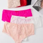 Majtki damskie koronkowe kolorowe L-XXL Finella