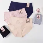 Majtki damskie bawełniane Vctoria w pastelowych kolorach XL-XXXL