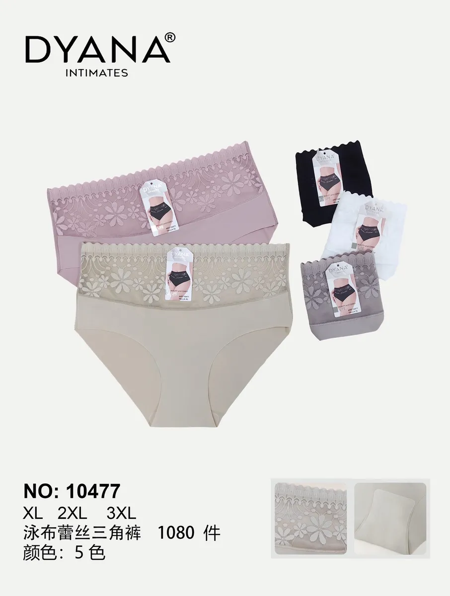 Majtki damskie z koronką DYANA INTIMATES 5 kolorów XL-3XL