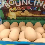 Bouncing Egg Ball Skaczące Jajko 24 szt.