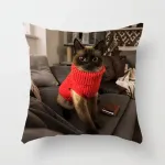 Poszewka dekoracyjna 40x40 cm z nadrukiem kota w czerwonym sweterku