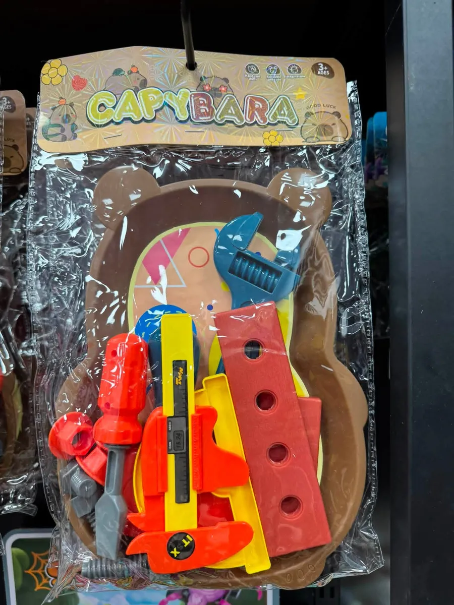 Zestaw dziecięcych narzędzi plastikowych w opakowaniu z motywem kapibary