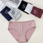 Majtki damskie bawełniane JD81 w zestawie kolorów L-XXL