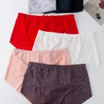 Finella koronkowe majtki damskie mix kolorów XL-XXXL