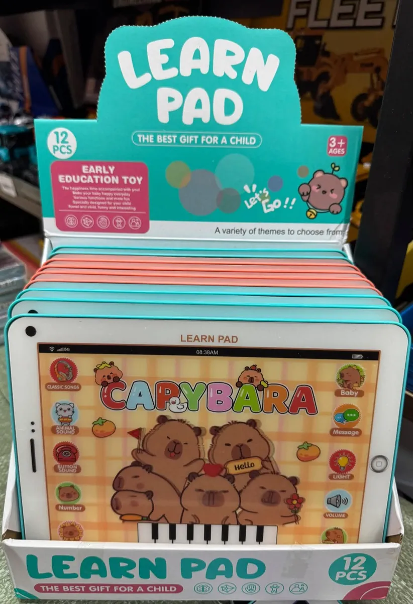 Zabawka edukacyjna Learn Pad z grafiką kapibar, kolor turkusowo-brzoskwiniowy, opakowanie zbiorcze 12 sztuk