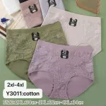 Majtki damskie bawełniane z koronką 2XL-4XL pastelowe kolory