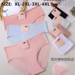 Majtki damskie HANA z koronką XL-4XL pastelowe kolory