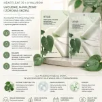 Anua Heartleaf 70 + Hyaluron Kojąca Maska w Płachcie 38g x4