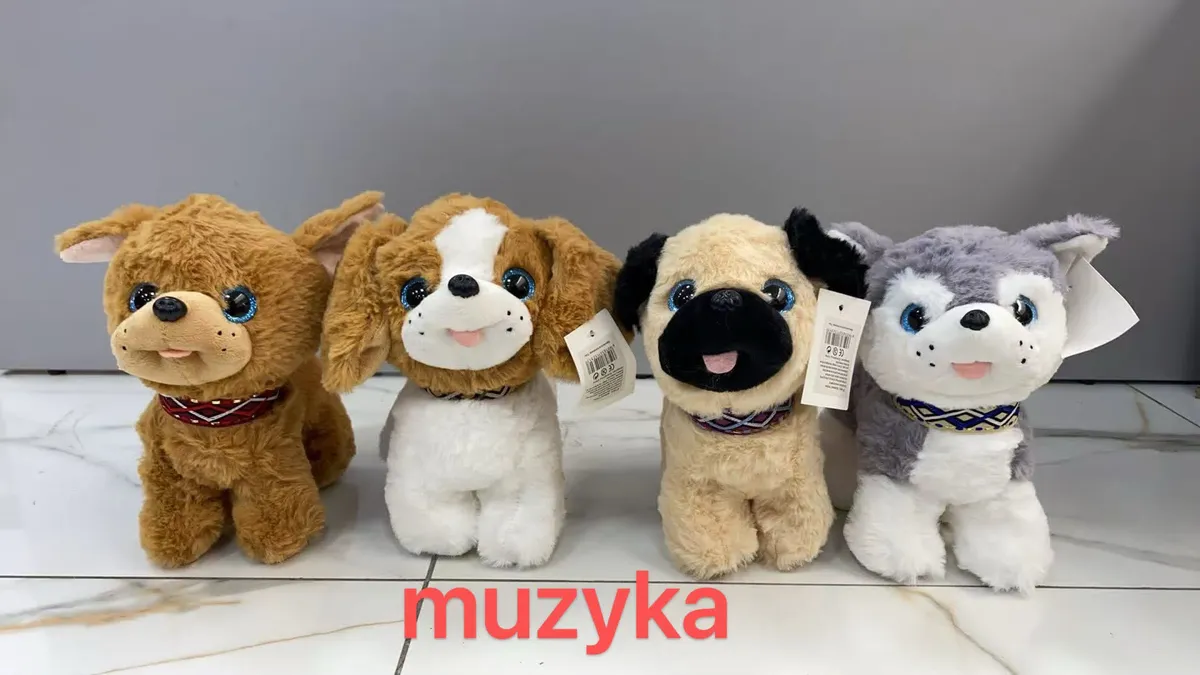 Cztery pluszowe pieski w różnych kolorach stojące na białej podłodze z napisem muzyka