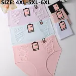 Majtki damskie HANA z koronką 4XL-6XL pastelowe kolory