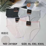 Majtki damskie HANA bawełniane XL-XXL-XXXL pastelowe i szare