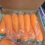 Produktimitacja marchewki pomarańczowa plastikowa